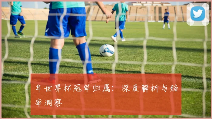 年世界杯冠军归属：深度解析与赔率洞察