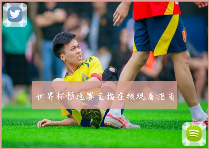 世界杯预选赛直播在线观看指南